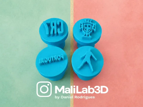https://makerworld.bblmw.com/makerworld/model/US70619717a348c0/design/41bc2305775c8dbb.png