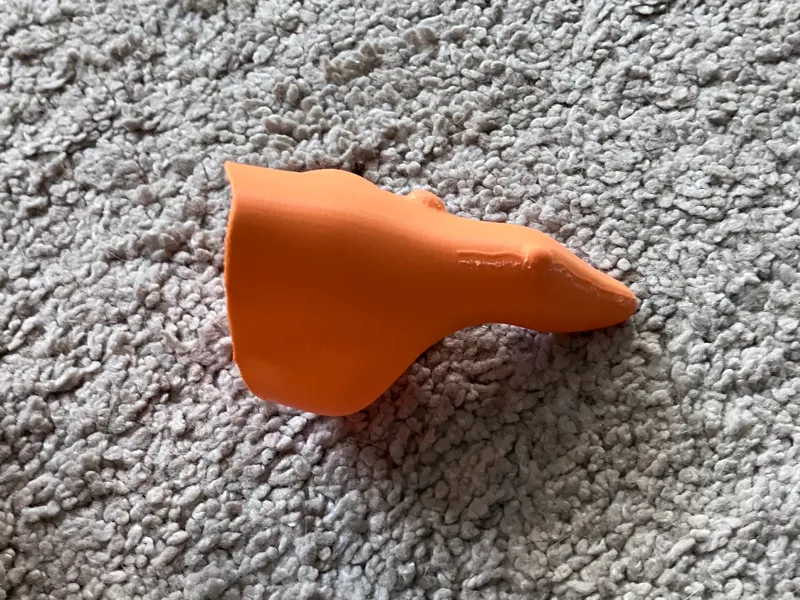 Whitch Nose