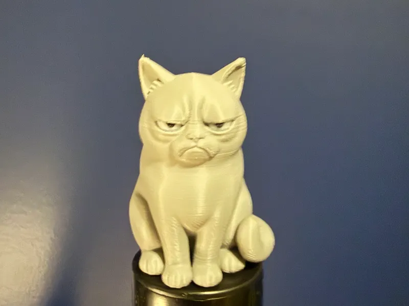 The Grumpy Cat