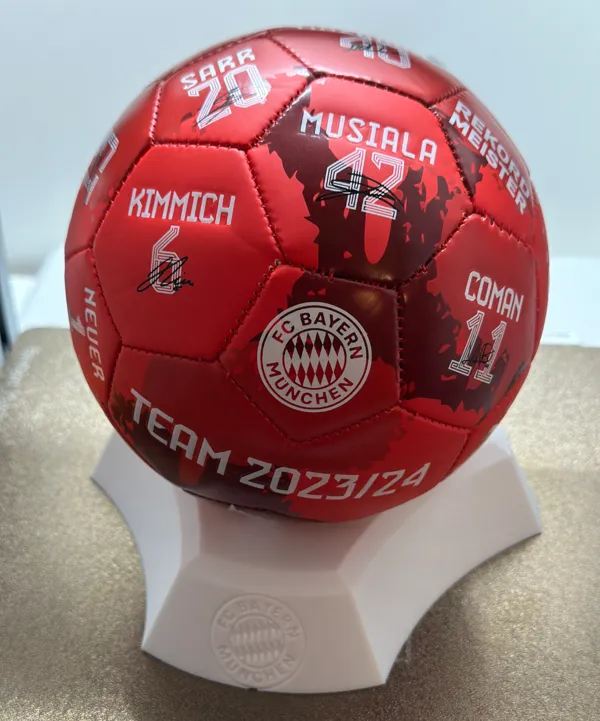 https://makerworld.bblmw.com/makerworld/model/US706886ff6bb879/design/2024-12-20_361b22f598a42.jpeg