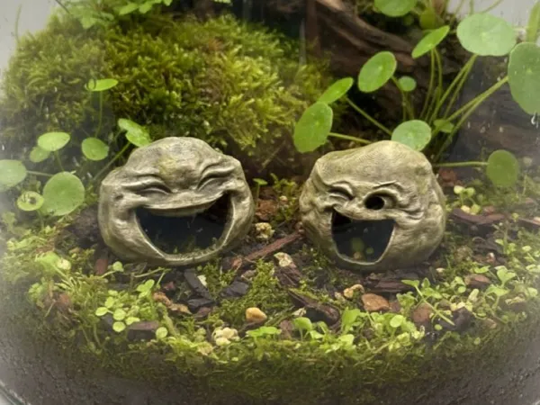 https://makerworld.bblmw.com/makerworld/model/US706936aa1dd651/design/2ff150fb71da8805.jpg