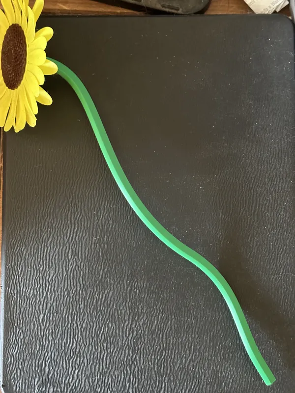Longer Sunflower Stem