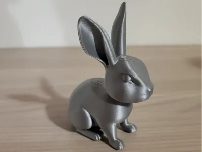 Cute bunny 