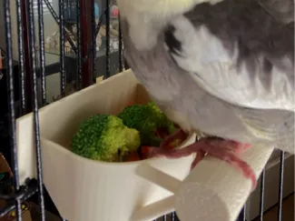 Bird cage feed cups with perch