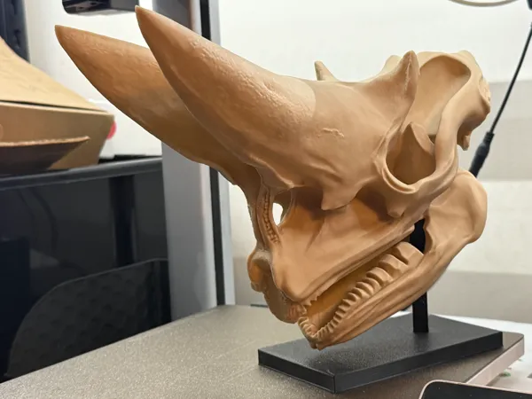 https://makerworld.bblmw.com/makerworld/model/US706cd592339966/design/275c0b2fa74e812a.jpg