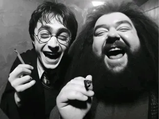Harry and Hagrid Hueforge