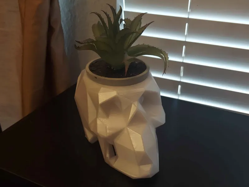 Skull Planter Low Poly