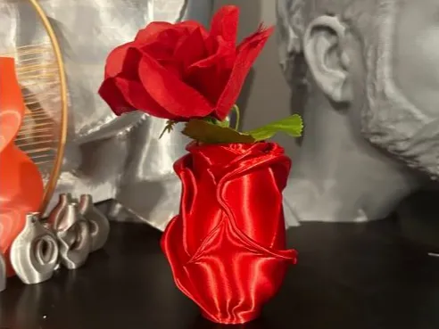 https://makerworld.bblmw.com/makerworld/model/US706fb36a227c9f/design/2025-09-13_577c8e85fb2a4.jpeg