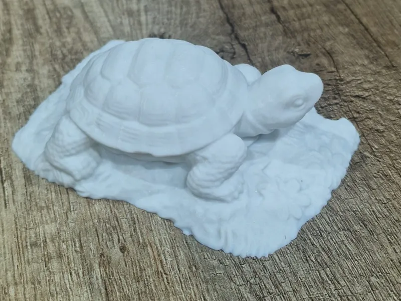Tartaruga