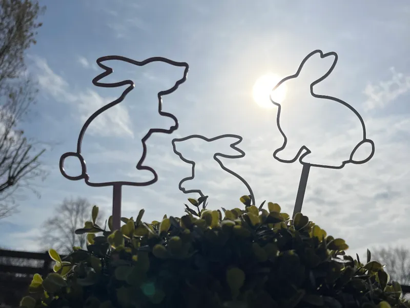 3 Hasenstecker für Pflanzen
