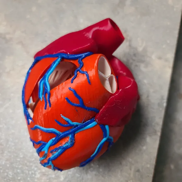 https://makerworld.bblmw.com/makerworld/model/US707c9276079553/design/2023-09-29_eb26c91a1710c.jpg