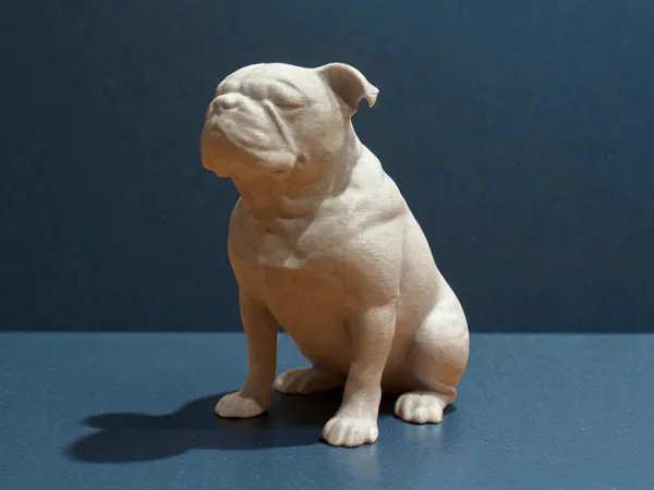 https://makerworld.bblmw.com/makerworld/model/US707e594ff5ea24/design/2026-01-08_54397cb6808b.jpg