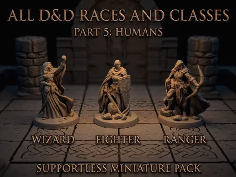 Soporte: All DnD Races and Classes, part 5 (supportless) — referencia de MakerWorld
