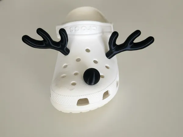 https://makerworld.bblmw.com/makerworld/model/US707fc8f0723ec3/design/2024-12-21_27669160ef6ad.jpg