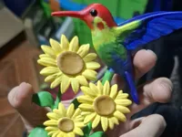 Colibri sur tournesols — photo 2