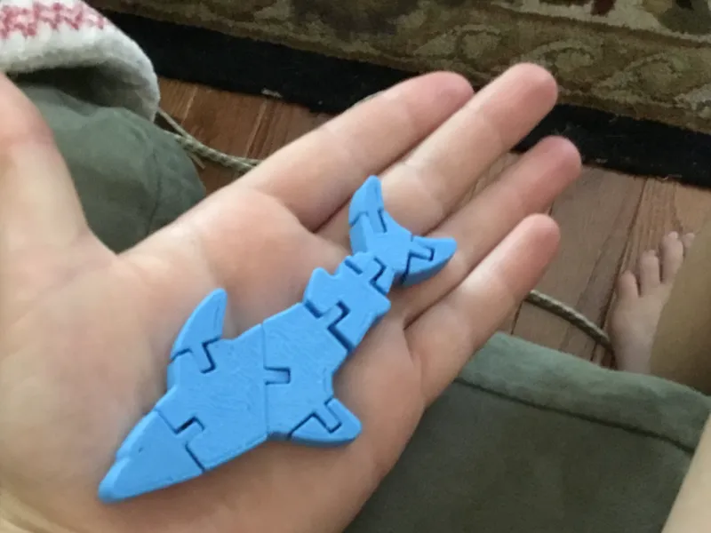 flexi shark