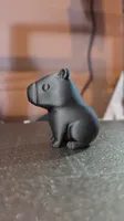 Capybara stylisé posture zen — photo 4