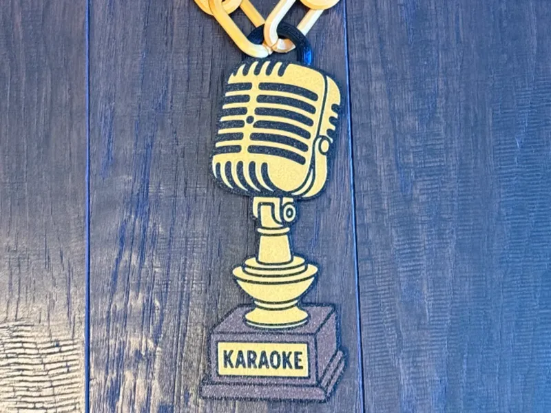 Karaoke Champion Hype Chain – Retro Microphone