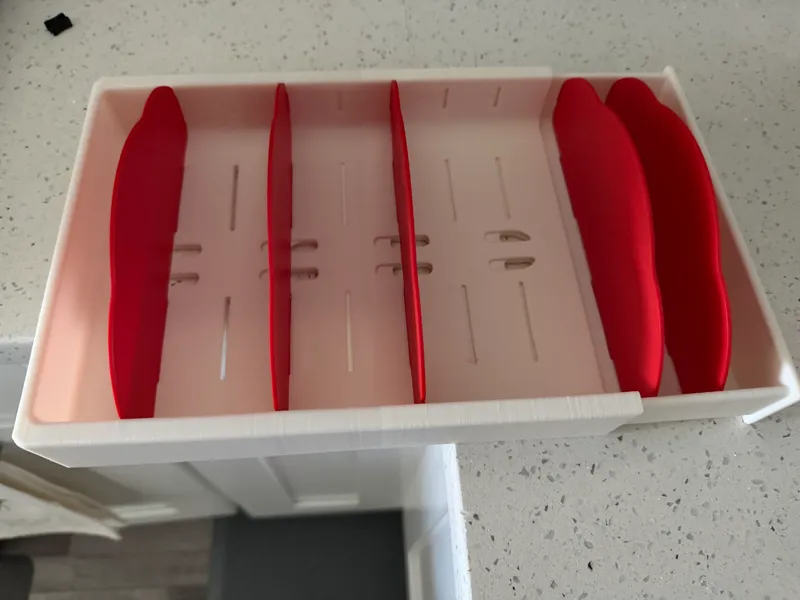 Lid container organizer