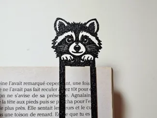 Bookmark raton laveur