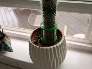 Cactus Support Stake