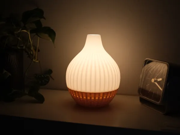 https://makerworld.bblmw.com/makerworld/model/US7095a60800ed0b/design/2025-07-07_7e17ff5d03d518.jpg