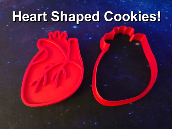 https://makerworld.bblmw.com/makerworld/model/US7095f91a06bd0b/design/2025-01-28_2bcca6f6390f9.jpg