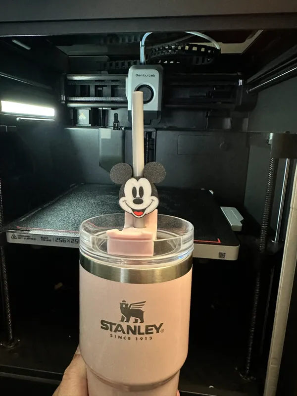 https://makerworld.bblmw.com/makerworld/model/US70960c47279526/design/2024-03-31_a543ff26bbdea.jpeg