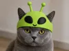 Cat alien hat