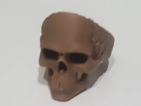 https://makerworld.bblmw.com/makerworld/model/US70997c5e8fdde2/design/2025-03-25_c868e245f413c.jpg