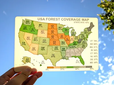 How Green Is Your State? USA Forest Coverage Map