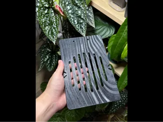 真实竖木纹 鹿角蕨植板2