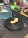 0.2mm layer, 2 walls, 10% infill