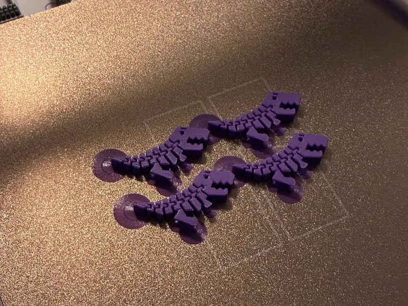 Flexi Rex 4pcs with brim