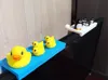 computer ducks