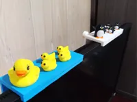 computer ducks