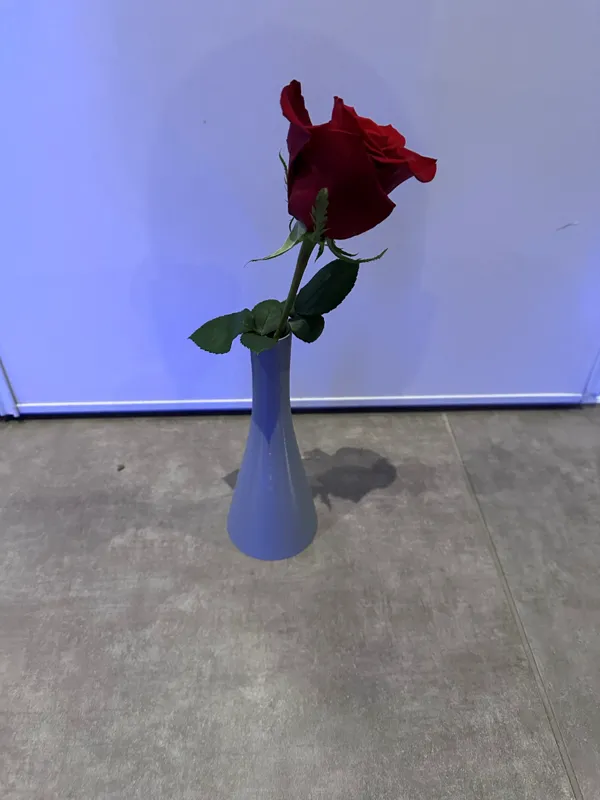 https://makerworld.bblmw.com/makerworld/model/US70a7f9cd366db2/design/2024-03-02_dfe9baa8a705e.jpg