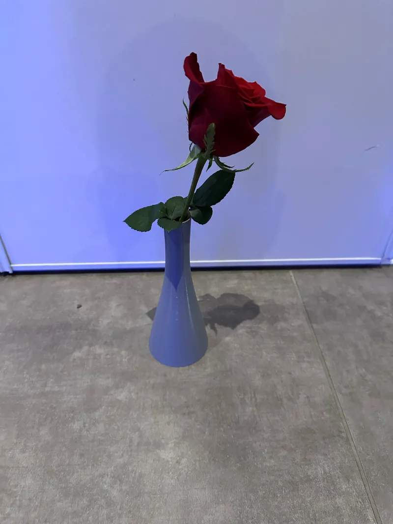 single flower vase