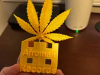 0.2mm layer, 2 walls, 10% infill