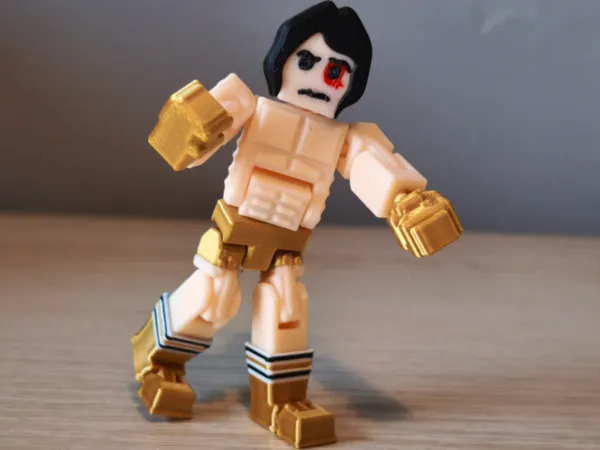 https://makerworld.bblmw.com/makerworld/model/US70b0c11090ec15/design/2025-12-28_9251397bf5cc18.jpg