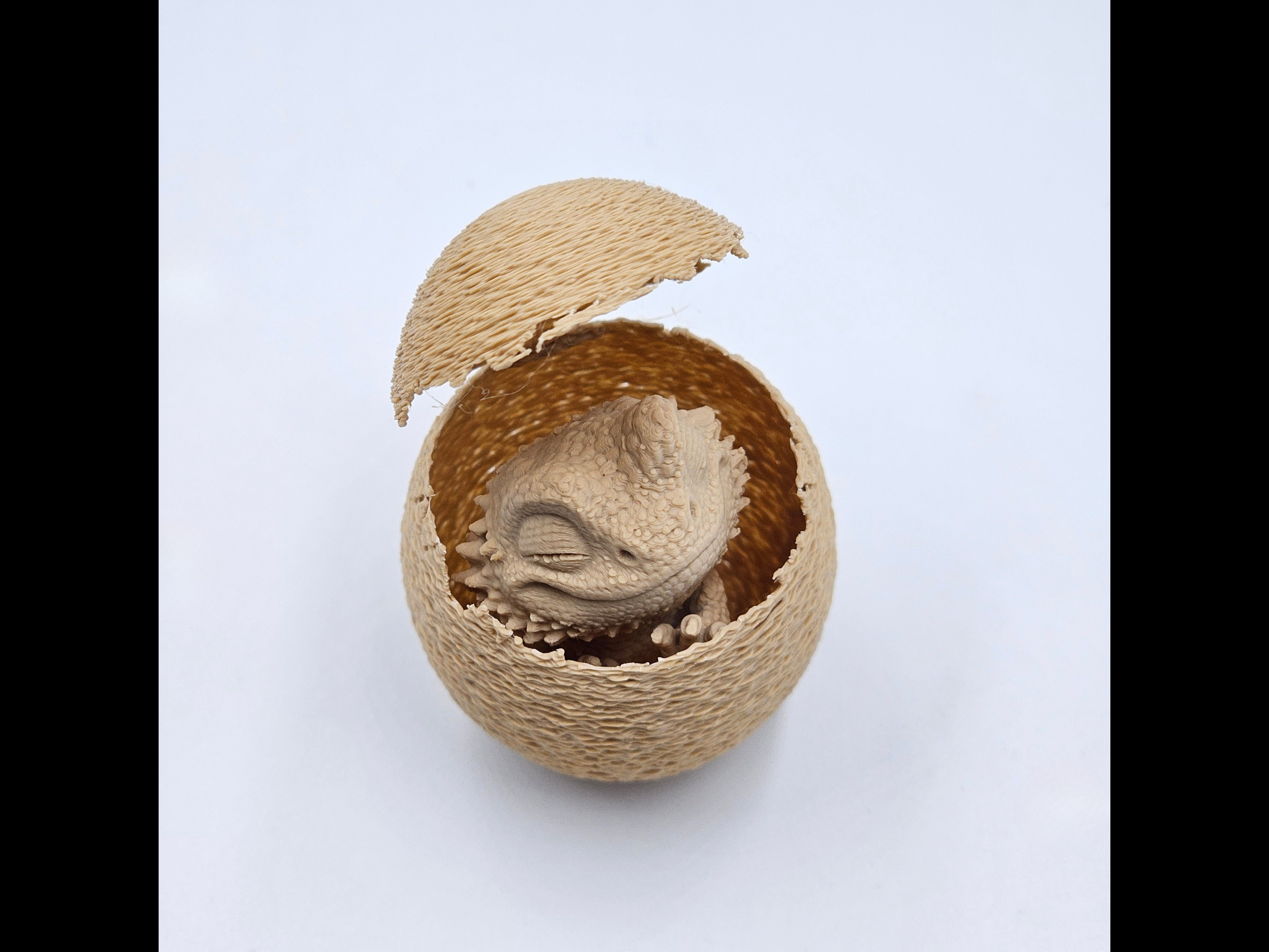 Animal - Egg - Bearded Dragon - 1