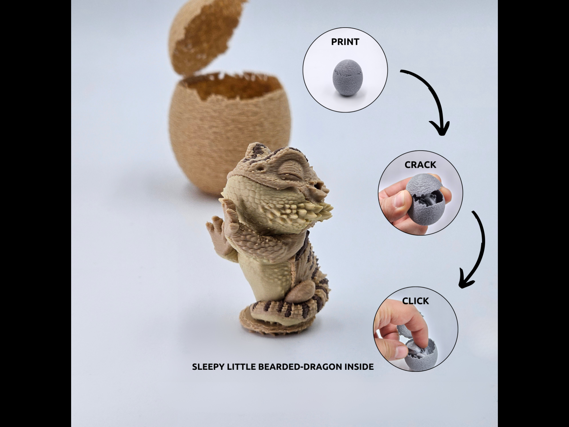 Animal - Egg - Bearded Dragon 3D model