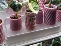 0.2mm layer, 2 walls, 15% infill