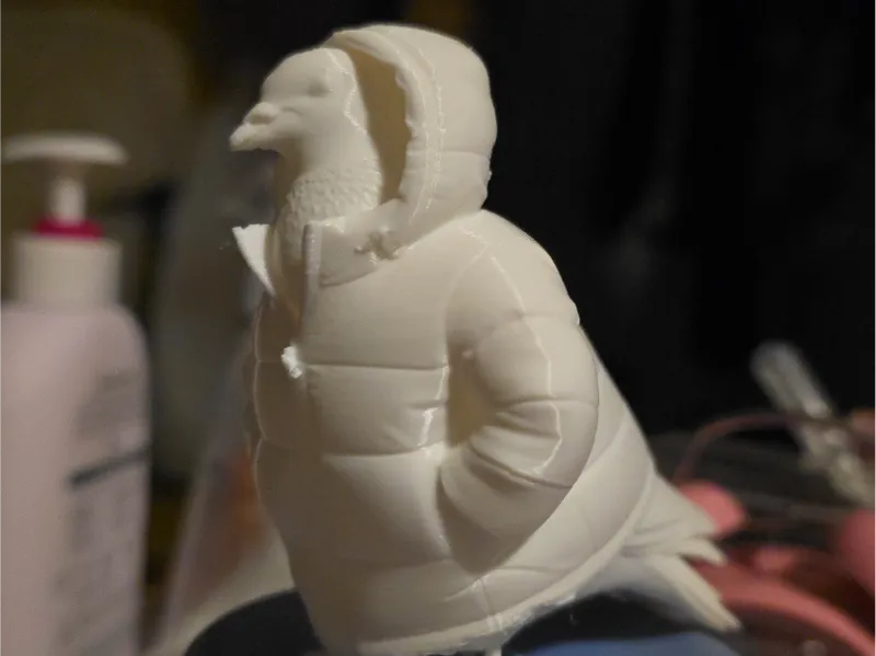 northface bubble pidgeon