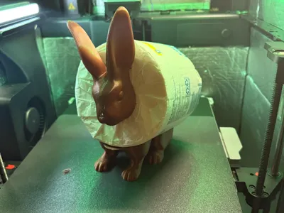 Toilet Roll Rabbit