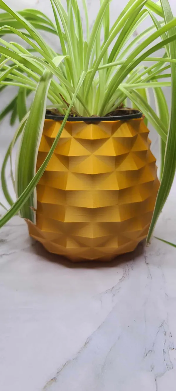 https://makerworld.bblmw.com/makerworld/model/US70c41d5a1a94ac/design/2023-12-17_bb5c9be2a5148.jpg