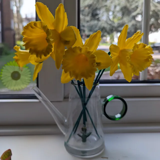 Daffodil Flower & Stem (3d scanned real flower)