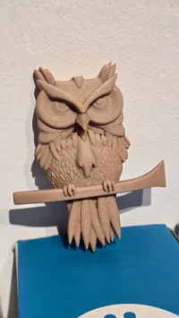 Emblème hibou décoratif — photo 4