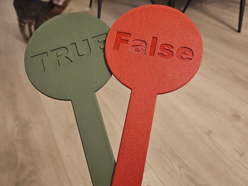 True/False Paddles for Quizzes, Classrooms & Games