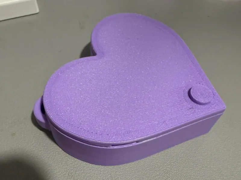 Heart Shape PH Coin Organizer 